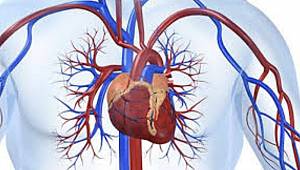 Damarların En Büyük Tehditi Diyabet 