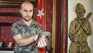 Ebabil Kuşu Genç Avukata Misafir Oldu 