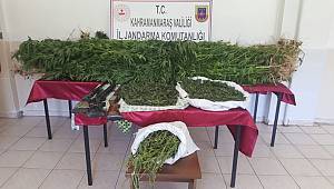 Jandarmadan Uyuşturucu Operasyonu: 3 Gözaltı 