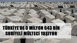 Türkiye’de 3 Milyon 643 Bin Suriyeli Mülteci Yaşıyor 