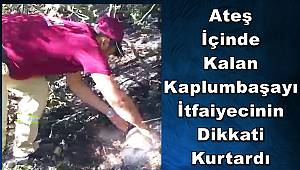 Yaşam Her Canlının Hakkıdır! 