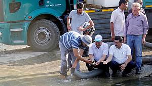 Adatepe Barajı Ticari Balıkçılığın Merkezi Oluyor 