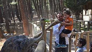 Arslanbey Doğal Yaşam Parkı’na Yoğun İlgi 