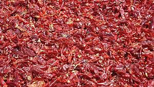 Marka Şehrin Marka Değeri Maraş Biberi 