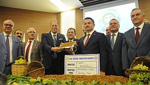 Türk kuru üzümüne 80 milyon dolarlık dokunuş 