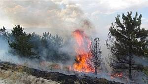 Andırın'da orman yangını..