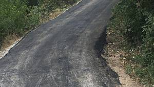 Asfalt Çalışmaları Devam Ediyor 