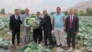 Elbistan lahanası için coğrafi işaret çalışması başlatıldı 