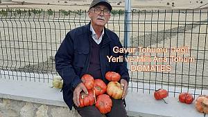 Hem Yerli Hem Milli DOMATES 