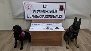 Jandarmadan Uyuşturucu Operasyonu: 28 Gözaltı
