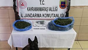  Jandarmadan Uyuşturucu Operasyonu 
