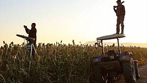 Kuş yemini korumak için 