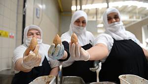 Maharetli eller Mado’ya ödül getirdi 