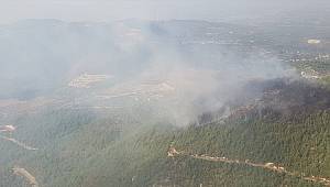 Orman Yangınında Yaklaşık İki Hektar Alan Yandı 