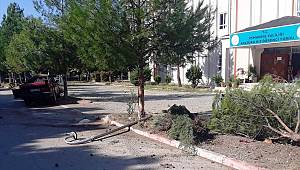 Otomobil Ağaca Çarptı: 1 Ölü, 2 Yaralı 