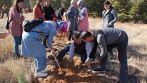 Afşin'de üniversite öğrencileri bin 500 fidan dikti