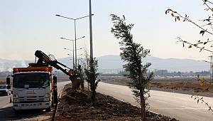 Ağaçlandırma Çalışmaları Sürüyor 