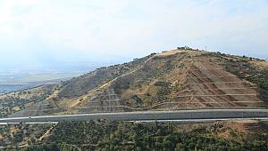 Caddeler Ağaçlarla Süsleniyor 