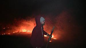 Ekinözü'nde çıkan yangında 10 dönümlük alan zarar gördü 