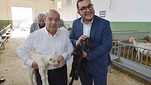 Mado, İtalyanlara dondurmanın doğduğu yeri gösterdi 