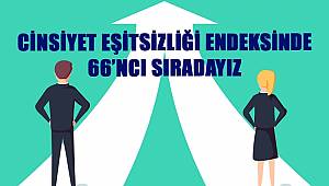 Cinsiyet Eşitsizliği Endeksinde 66’ncı Sıradayız 