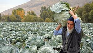 Elbistan Lahanası Twitter’i Salladı 