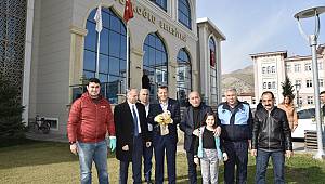 Kahramanmaraş'ta yaralı bulunan şahin tedavi altına alındı 