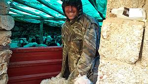 Büyük Baş Hayvanlarda Aşılama ve Tespit Çalışmaları Devam Ediyor 