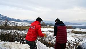 Doğaya Yem Bırakıldı 