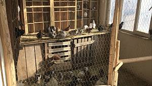 Kahramanmaraş'ta kumar operasyonu..