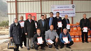 Organik Zeytinler Kahramanmaraş’tan 