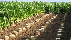 Şekerpancarı Bilgilendirme Toplantısı Yapıldı 