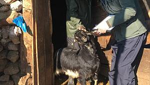 Veteriner Sağlık Teknikerleri Zorlu Kış Şartlarında Sahadalar 