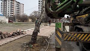 Bir Ağaç Bir Dünyadır! 