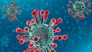 COVİD-19 Salgını Hızla Büyüyor 