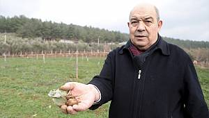 Kahramanmaraş'ın dondurmasından sonra salebi de dünyaya açılıyor 