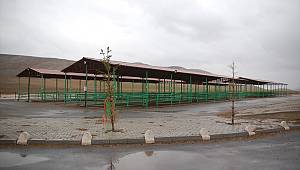 Kahramanmaraş'ta 4 ilçedeki hayvan pazarları tedbir amaçlı kapatıldı 