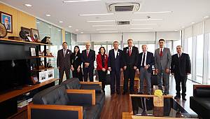 Kipaş Holding Vergi Rekortmeni 