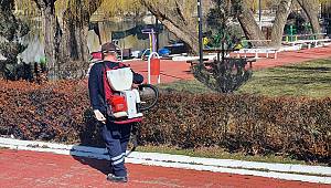 Vektörle mücadele devam ediyor 