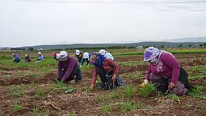 3 çocuk annesi kadın evini geçindirmek için 20 yıldır tarlalarda çalışıyor 