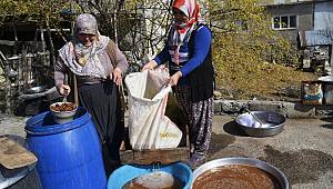 Andız kozalakları lezzete dönüştürülüyor 