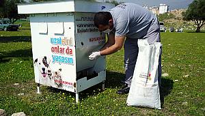 Büyükşehir Sokak Hayvanlarını Unutmadı 