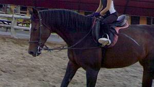  Kahramanmaraş'ta küçük kızıyla ata binen babaya idari para cezası 