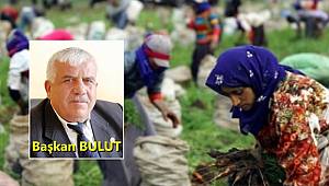 Tarım İşçisine 66 TL Yevmiye 