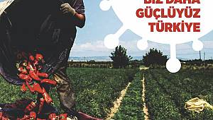 Türkoğlu'nda Sezonun İlk Ürünü Yetişti