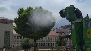 Ağaçlar zararlılara karşı ilaçlanıyor 