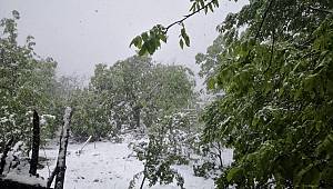 Elbistan ve Ekinözü’ne kar yağdı 