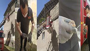 İtfaiyecilerin kurtardığı serçe 