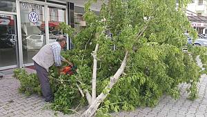  Kahramanmaraş’ta fırtına çatıları uçurup, ağaçları devirdi 
