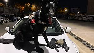 Kahramanmaraş'ta uyuşturucu operasyonunda yakalanan 5 kişi tutuklandı 